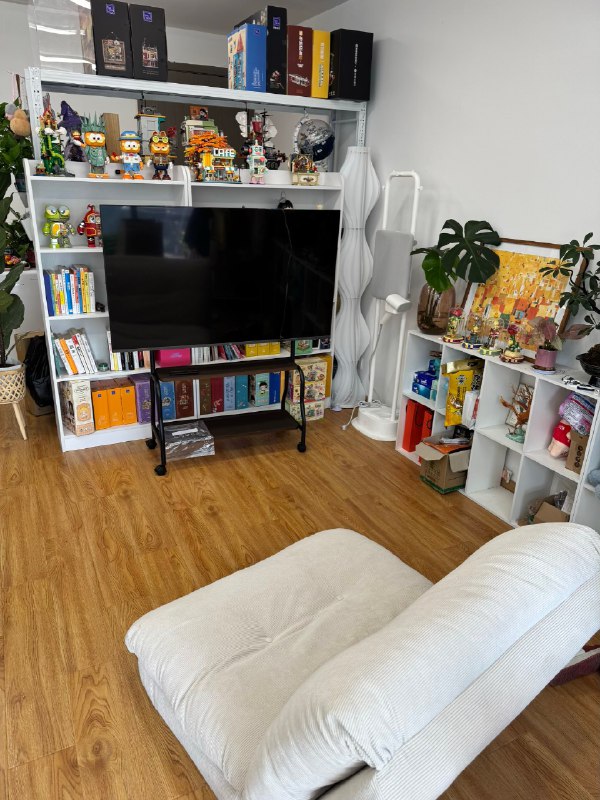 今日份嘻嘻工作室午休新节目