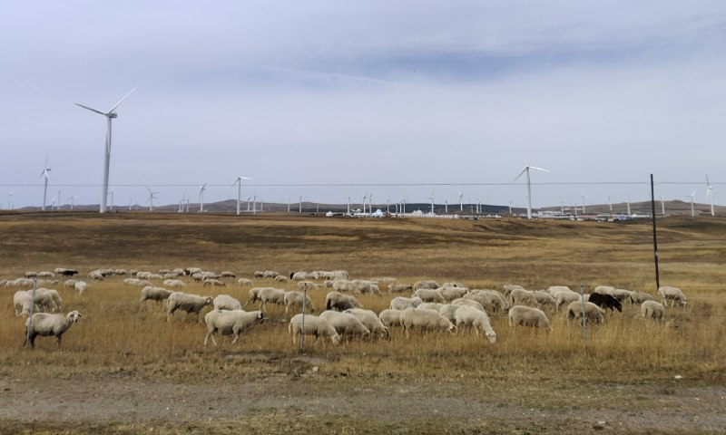 是谁在狂奔的京藏高速上写方案窗外是牛，马窗内是牛马是谁在狂奔的京藏高速上写方案窗外是牛，马窗内是牛马