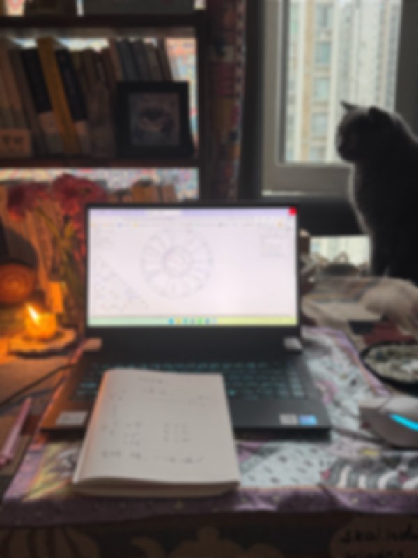 闭关学习期稳定内核 按照自己的节奏吸收🧽闭关学习期稳定内核 按照自己的节奏吸收🧽