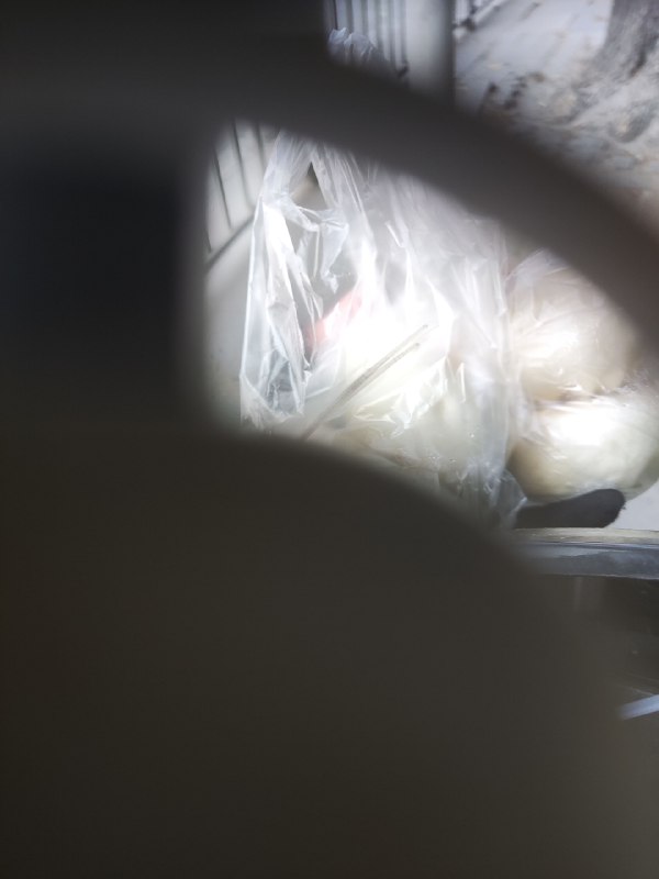 学聪明了，中午饭不去堂食吃，因为太浪费跑单的时间