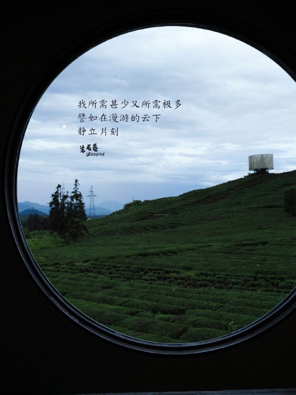 一下午，一个人贴完了店里的所有贴纸，安静的贴出了心流的感觉