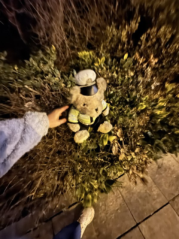 哪个粗心的没发现上班搭子丢了🧸哪个粗心的没发现上班搭子丢了🧸