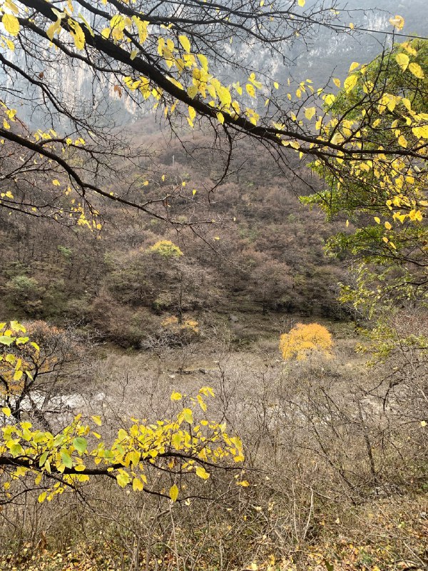 又来徒步了开心😃😃又来徒步了开心😃😃