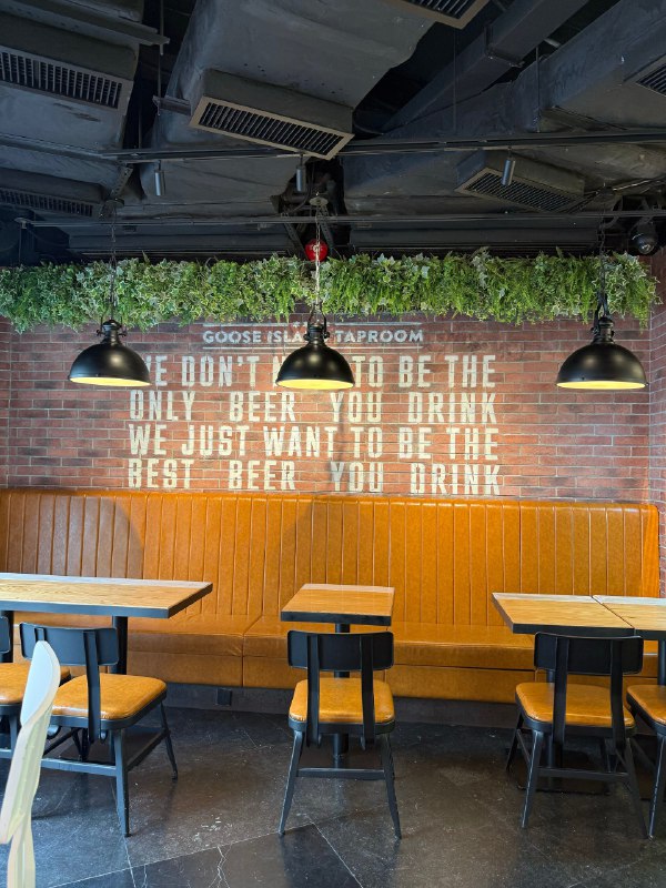 最近这两天不上班，我终于也能说我是一个自由职业者了✌️