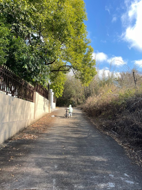新年很平静，没有宏大的愿望跟行动吃好睡好，再把高客单业务整起来吧！回趟老家，也想赶紧回来广州，回到有秩序的生活轨迹，对于现阶段自己来说，比什么都重要