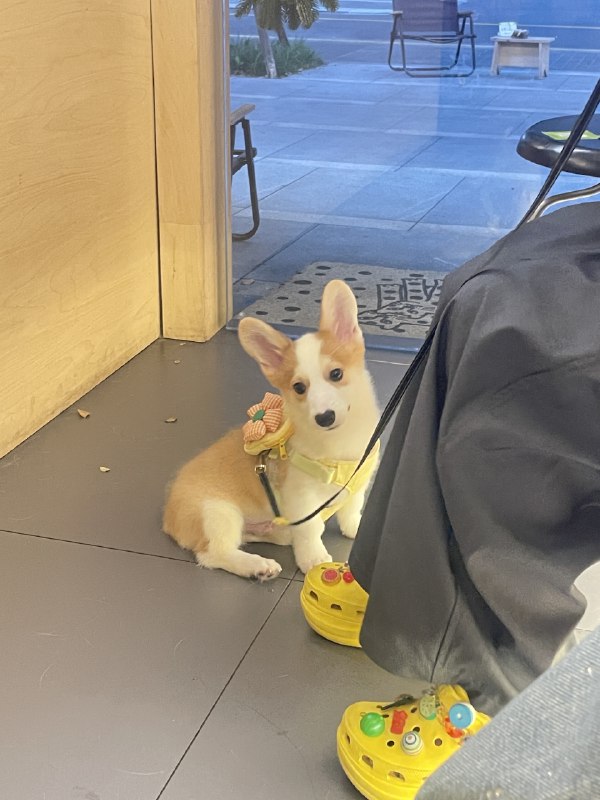 为什么很多人微信的工作号和本人号要分开如果是因为朋友圈的话不是有分组吗#just一个疑问