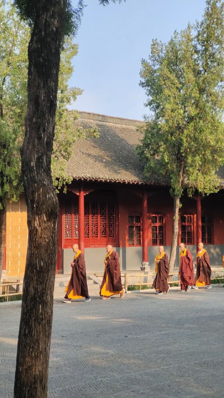 很多人看我朋友圈天天旅行，以为我家底丰厚