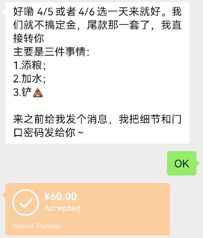 今日身份：上门喂猫的赚了60块钱+免费撸猫，左手缅英右手狸花🐱