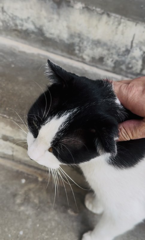 最近这两周…最近这两周…