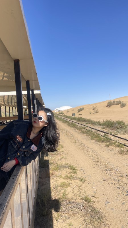 是谁在狂奔的京藏高速上写方案窗外是牛，马窗内是牛马是谁在狂奔的京藏高速上写方案窗外是牛，马窗内是牛马