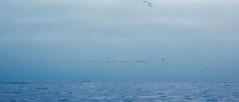 2025年，一个CEO的胡思乱想2025年，我写了上千条朋友圈