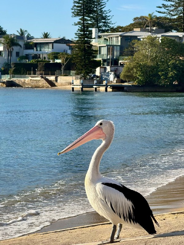 今天起来写了篇公众号，发了个小红书，录了个B站视频，然后坐船去海边玩了～今天起来写了篇公众号，发了个小红书，录了个B站视频，然后坐船去海边玩了～