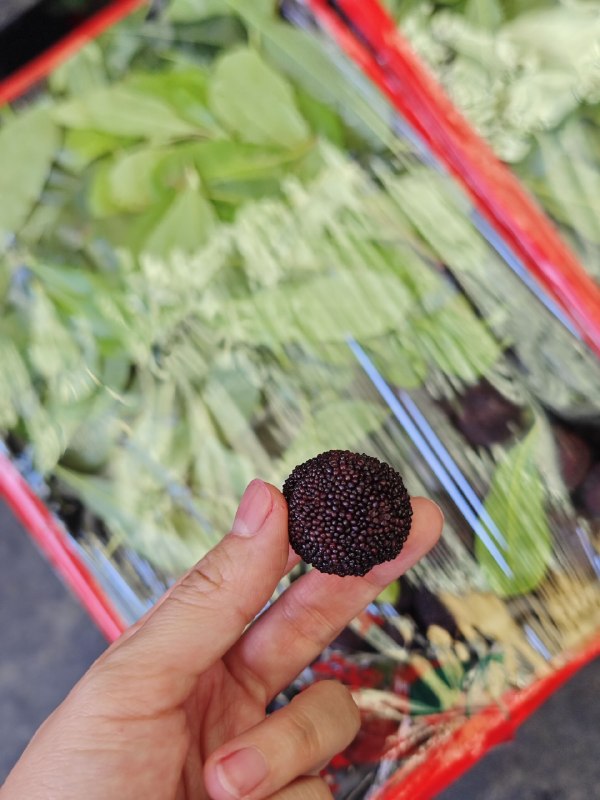 以前一直不敢碰水果批发市场，因为水太深了但这次排面了！和杭州勾庄市场达成了官方合作，市场负责人直接带着，到最好的供应商那里看货，帮我们把关价格、协助品控一直在舒适区做内容、做社群的我们，5 月过后，即将迎来重大版本迭代，挑战不擅长但足够有意思的方式（p3 太好笑了，感觉可以拍龙王赘婿了）以前一直不敢碰水果批发市场，因为水太深了但这次排面了！和杭州勾庄市场达成了官方合作，市场负责人直接带着，到最好的供应商那里看货，帮我们把关价格、协助品控一直在舒适区做内容、做社群的我们，5 月过后，即将迎来重大版本迭代，挑战不擅长但足够有意思的方式（p3 太好笑了，感觉可以拍龙王赘婿了）