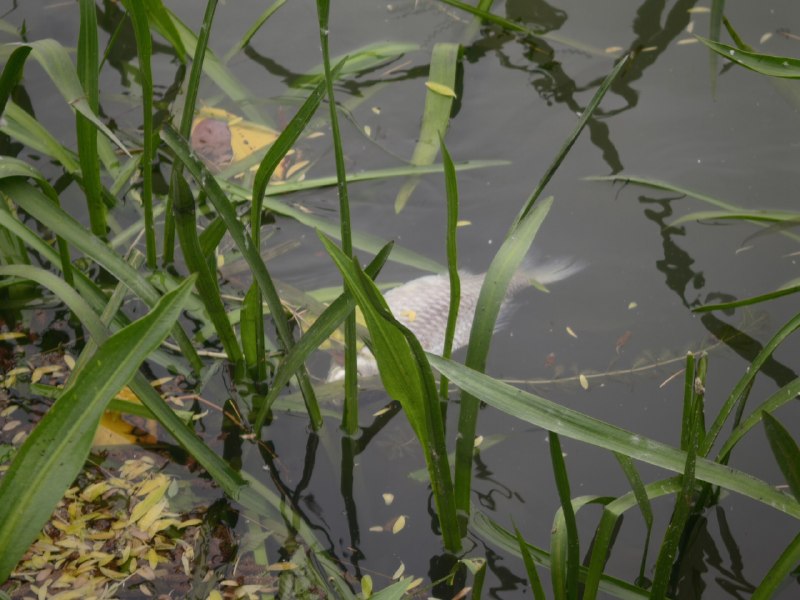 表达欲匮乏怎么办同行人说 不是要当博主嘛 怎么不拍脑子里都是 这些人人都看过啊 不是什么奇珍异宝不过确实唯有看到公园里的鸟儿时 有了举起镜头记录的欲望表达欲匮乏怎么办同行人说 不是要当博主嘛 怎么不拍脑子里都是 这些人人都看过啊 不是什么奇珍异宝不过确实唯有看到公园里的鸟儿时 有了举起镜头记录的欲望