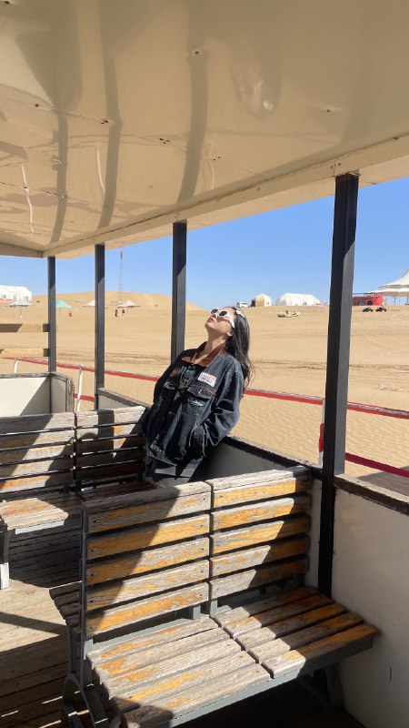 是谁在狂奔的京藏高速上写方案窗外是牛，马窗内是牛马是谁在狂奔的京藏高速上写方案窗外是牛，马窗内是牛马