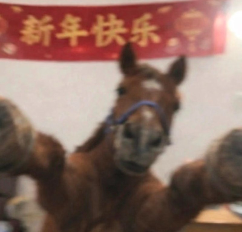 马年快乐！希望今年有更多同频的伙伴加入我们！也希望可以干出更多有挑战的事情！@Trooly.AIMake User’s Voice Matter