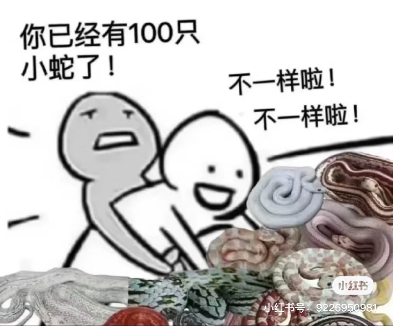 半夜发现自己中了9600彩票五分钟后下单了一条11000的蛇🥶半夜发现自己中了9600彩票五分钟后下单了一条11000的蛇🥶