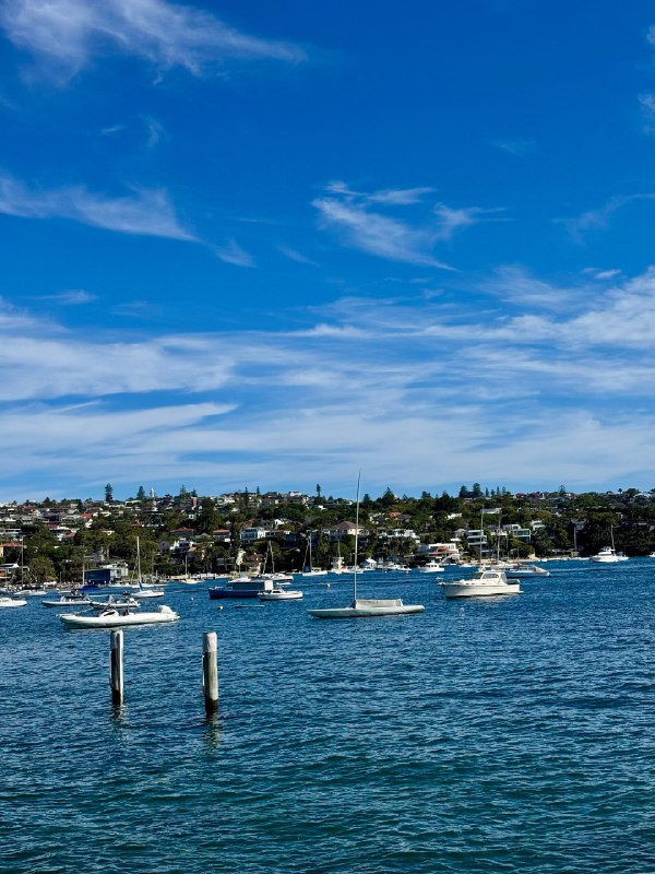 今天起来写了篇公众号，发了个小红书，录了个B站视频，然后坐船去海边玩了～今天起来写了篇公众号，发了个小红书，录了个B站视频，然后坐船去海边玩了～