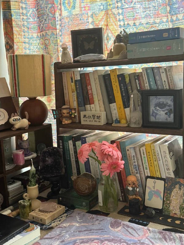 闭关学习期稳定内核 按照自己的节奏吸收🧽闭关学习期稳定内核 按照自己的节奏吸收🧽