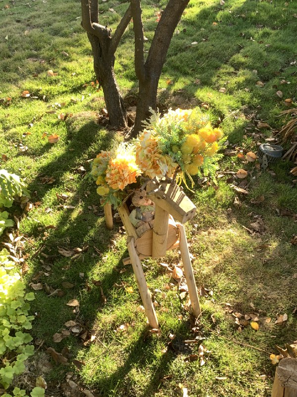 今日份电量充满🈶️晒了 逛了 日落看了跑了 6 公里✌️今日份电量充满🈶️晒了 逛了 日落看了跑了 6 公里✌️