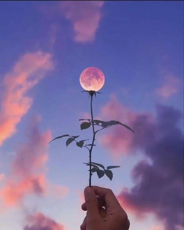 做1人公司快3周年了，在做复盘