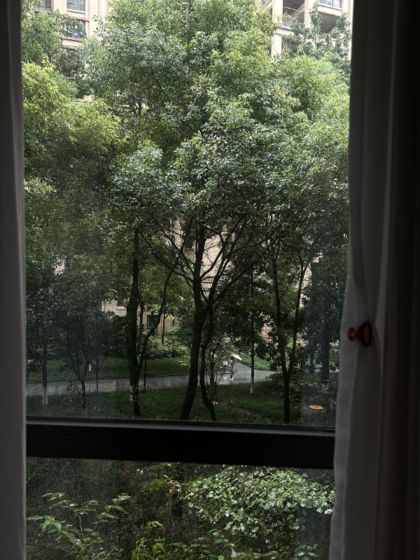 成都的雨就这么不知疲倦的从昨晚下到现在我群里扣了1又撤回最终又从自律的dancer变成了蜗居老鼠人想到我当时报通卡就是盘算着每周能上三节课单价便宜才报的 如今一场雨就把我困在屋里了说好周一周四羽毛球局因为队友奔丧也搁置一周了我tamua就想问 我这是自由职业者吗？我这是孤独患者