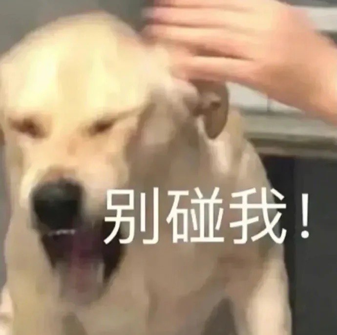 26年1个重心2个辅助轮：发狠工作+运动健身+「关我p事」王者戒了，环游世界的念头戒了，宠物戒了，恋爱戒了，鸡汤戒了，旅居戒了，留学考证戒了，外卖戒了，装逼戒了，来者不拒戒了，提供价值戒了对自己发狠，就没人羡慕嫉妒恨了，只会有极端排斥or 欣赏你的于是：关我p事👏（仅针对排斥者）