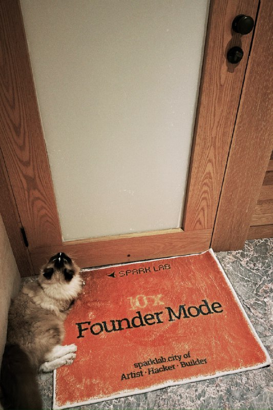 猫猫也要开启founder mode嘛