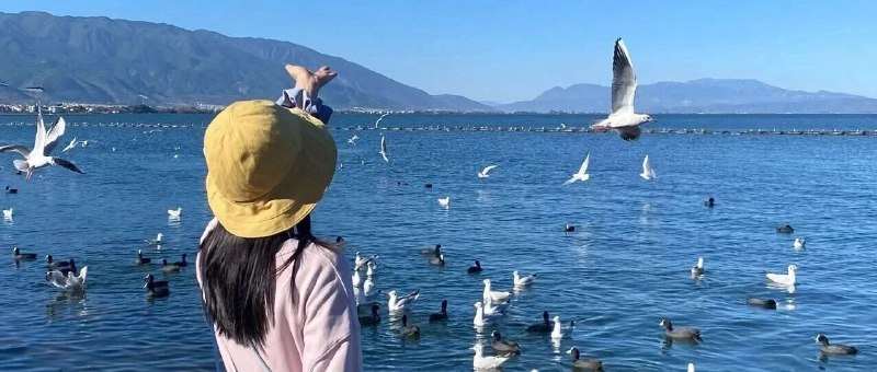 大理适合长期生活吗？住了3年的人选择搬去深圳前天和一对在大理生活了 3 年的朋友吃饭，他们已经搬去深圳 5 个月了