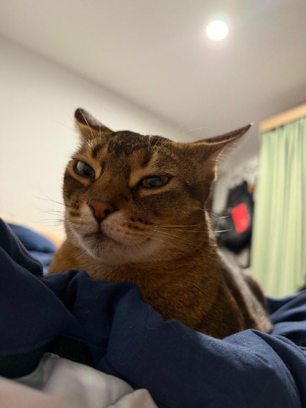 0经验准备在业余时间小红书+1688卖点小东西，每个月利润能有1-2k就行，各位老师觉得靠谱吗？请赐我一条真经吧，好人一生平安