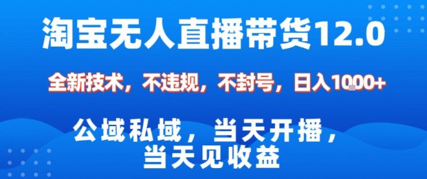 项目介绍：淘宝平台也是刚放开了无人直播,红利和风口期
