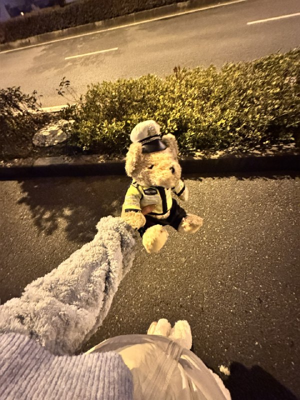 哪个粗心的没发现上班搭子丢了🧸哪个粗心的没发现上班搭子丢了🧸