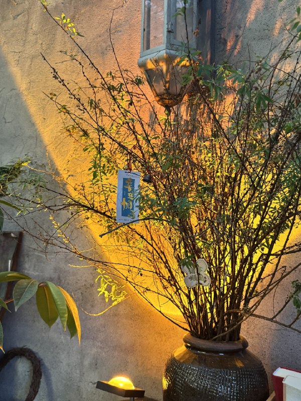 我再也不推荐想转行的人去做自媒体因为认清现实这个动作不是靠说出来的，得让他们吃过足够的苦头她想找第二曲线，不想做设计，想转行做小红书，想做家居博主，我和她说，人不能既要又要，当你学会当你左脚在想着踢正步的时候，右脚就不能想着踢腿，行动先于统一，移动先于想通，当你左脚学会迈出去的时候，右脚自然就能够跟上，你就自然会走路，行动本身就是认知工具，一下子就把她干沉默了我现在非常擅长在日常的生活中和人生哲理给挂钩，小到背英语单词和选题切口的关系，大到走路和人生认知的升级，足够扎根得深刻当然，也带有足够的个人主义色彩，所以有必要写成长篇大论分享吗？没有必要我的小智慧，只偏爱给部分人