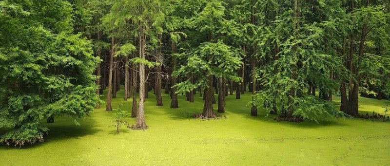 河林的5月总结：安全感是坐等不来的，要靠自己搏出来周一早安，大朋友小朋友们儿童节快乐✧٩(ˊωˋ*)و✧告别5月，以童心开启6月❤️