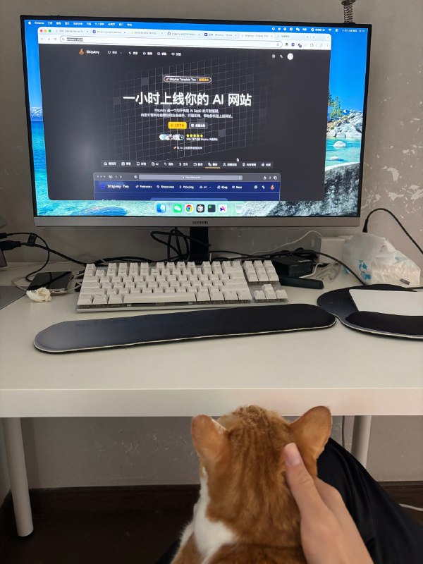 招财说她也想学🥲