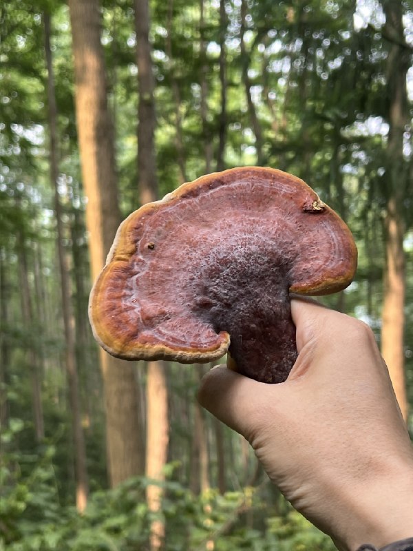 大补的一天！！大补的一天！！