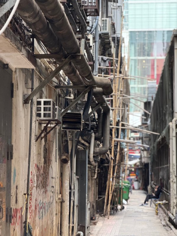 香港见闻2026香港见闻2026