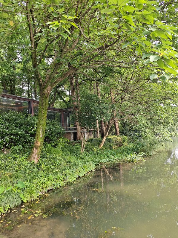 来一家西湖边的茶室谈合作藏在西湖边的树林里理想的隐市氛围从中午聊到晚上持续碰撞新的想法和合作机会好的环境也会激发好的状态来一家西湖边的茶室谈合作藏在西湖边的树林里理想的隐市氛围从中午聊到晚上持续碰撞新的想法和合作机会好的环境也会激发好的状态