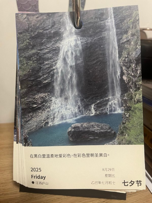 8月29日在黑白里柔和地爱❤️色彩，在色彩里朝圣黑白好和谐的氛围呀🍃🪸