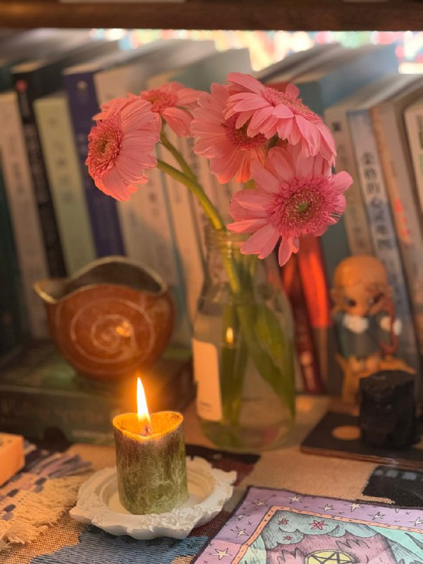 闭关学习期稳定内核 按照自己的节奏吸收🧽闭关学习期稳定内核 按照自己的节奏吸收🧽