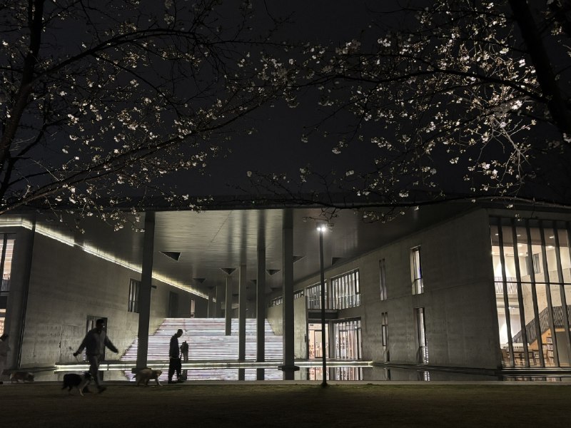 过去5天失眠了两个晚上，导致最近的作息很难被联系上