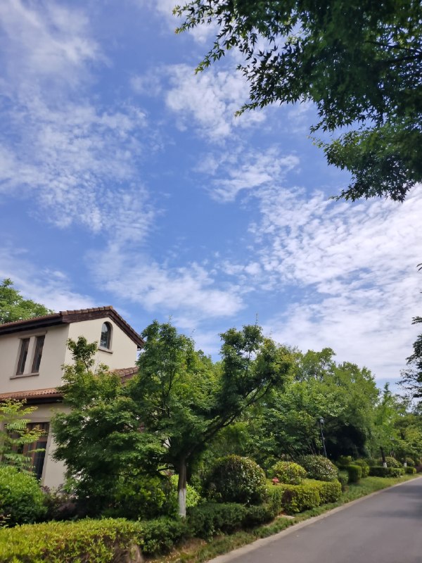 来到临安别墅区在小红书家居博主的家里做直播😭真是梦中情房dream house来到临安别墅区在小红书家居博主的家里做直播😭真是梦中情房dream house