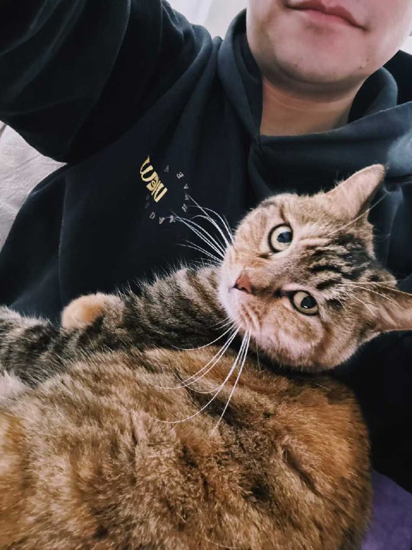 马伯庸带动了一大批人开始每天写日记，这是普通人开始因为 AI 的发展而吹响自保号角的第一步，是好事儿