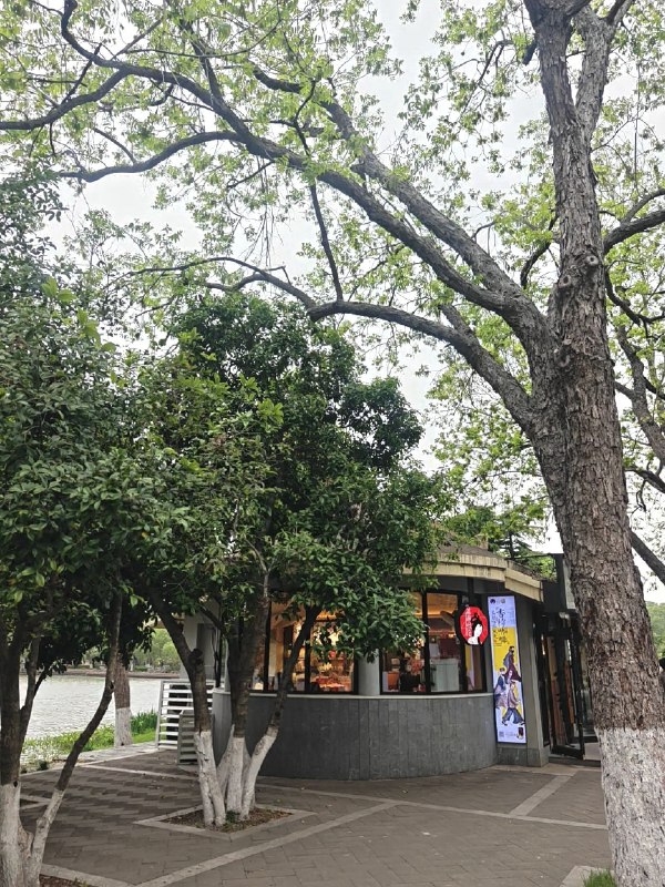 表达欲匮乏怎么办同行人说 不是要当博主嘛 怎么不拍脑子里都是 这些人人都看过啊 不是什么奇珍异宝不过确实唯有看到公园里的鸟儿时 有了举起镜头记录的欲望表达欲匮乏怎么办同行人说 不是要当博主嘛 怎么不拍脑子里都是 这些人人都看过啊 不是什么奇珍异宝不过确实唯有看到公园里的鸟儿时 有了举起镜头记录的欲望