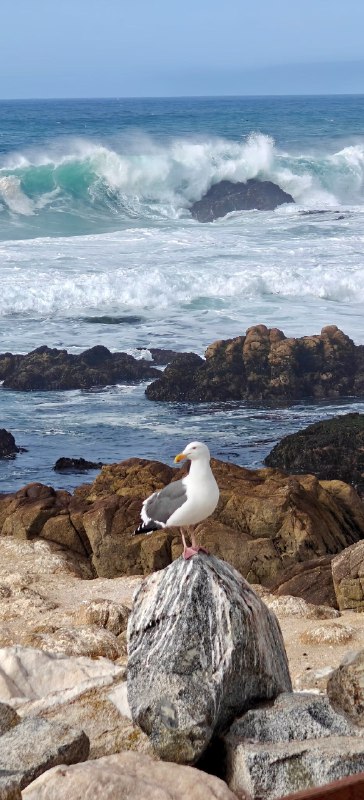 2025年的关键词是“落地”和“回响”
