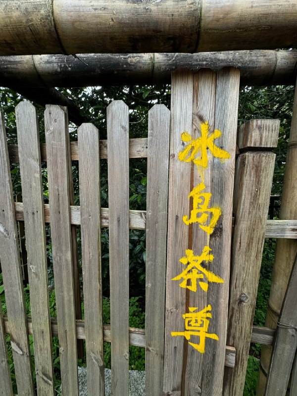 在冰岛茶园喝冰岛茶🍵美滋滋了⛰️溯源真的是一件有意思的事情在冰岛茶园喝冰岛茶🍵美滋滋了⛰️溯源真的是一件有意思的事情