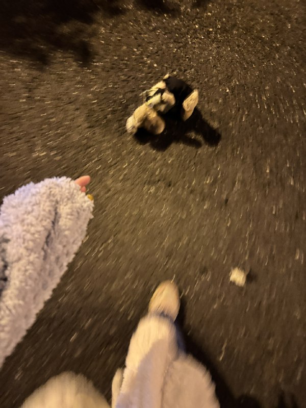 哪个粗心的没发现上班搭子丢了🧸哪个粗心的没发现上班搭子丢了🧸