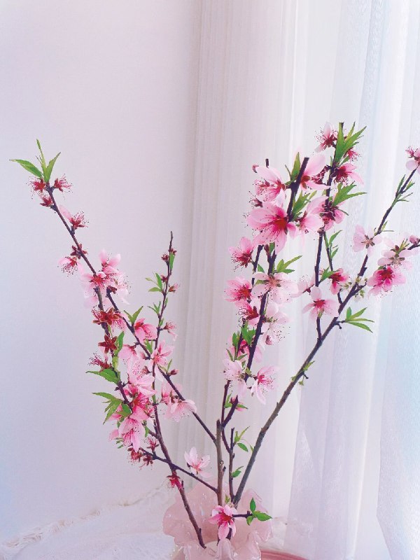 大博主说把自媒体当作一门小生意来做