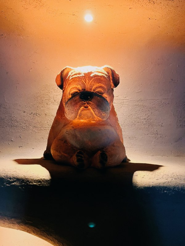 最近这段时间确实特别忙，每天早出晚归，恨不得把每一刻都利用起来