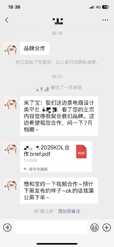 给我的合伙人曼曼做跨境IP，才发了两条视频，已经接到两个商单、一个综艺邀约